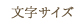 文字サイズ
